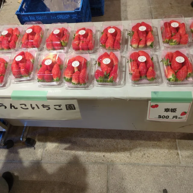 大正6年創刊｜播磨時報｜ベルばらファン必見！ 池田理代子さん脚本の